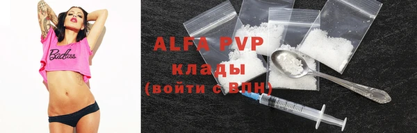 крисы Алексин