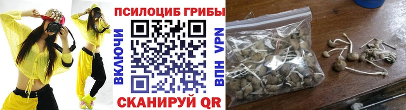 Галлюциногенные грибы Cubensis  сколько стоит  Мензелинск 